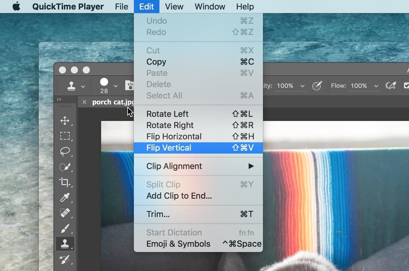 screenshot from quicktime player mac