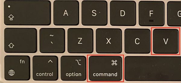 How to copy and paste on your Mac